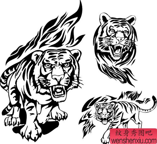老虎纹身图案:图腾老虎纹身图案图片