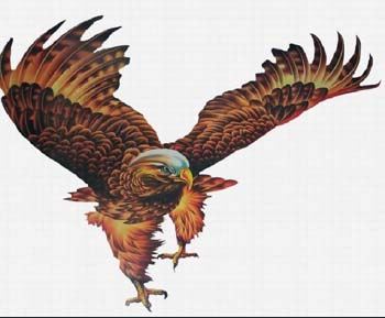 一副雄鹰展翅纹身图案图片(tattoo)