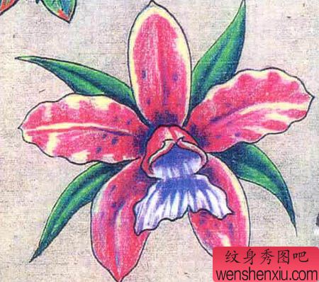 纹身520图库:一系列适合女性纹身的百合纹身图案图片