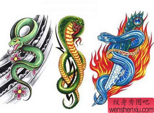 组图:蛇火焰纹身图片图案