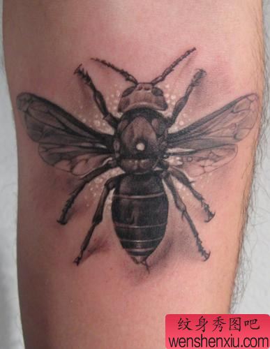 苍蝇纹身图案