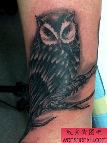 手腕猫头鹰纹身图案