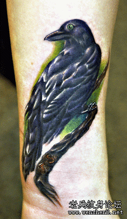 脚部乌鸦纹身图案