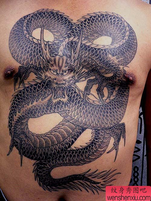 纹身520图库:前胸龙纹身图案图片