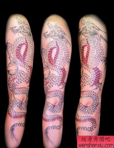 纹身520图库：手臂龙纹身图案图片