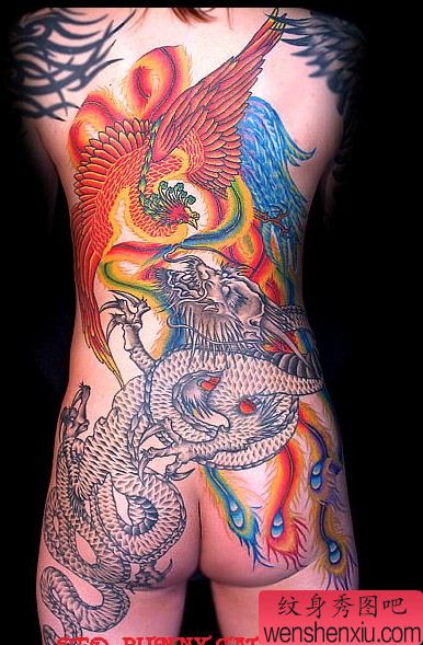纹身图片:满背龙与凤凰纹身图案图片