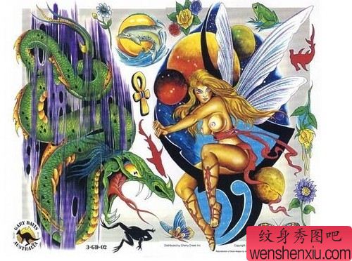 欧美纹身图案:彩色欧美精灵翅膀纹身图案纹身图片