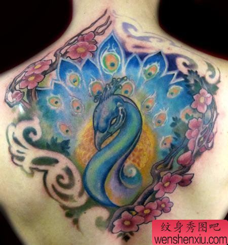 背部纹身图案:后背孔雀樱花纹身图案图片