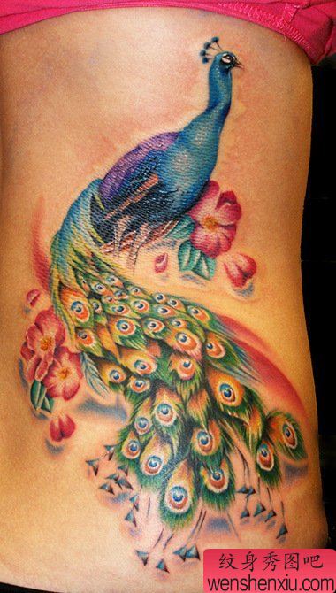 腰部纹身图案:侧腰漂亮孔雀纹身图案图片