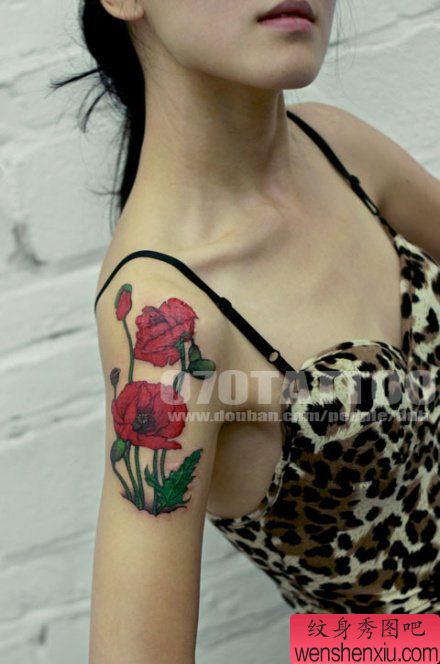 罂粟花纹身图案:手臂彩色罂粟花纹身图案纹身图片