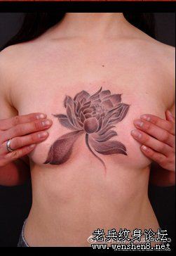 莲花纹身图案:胸部莲花纹身图案纹身图片