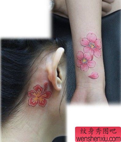 女性纹身图案:头部手臂彩色樱花纹身图案纹身图片
