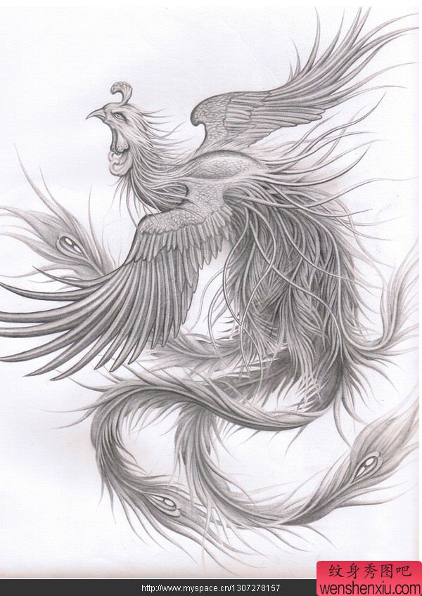 满背凤凰纹身图案