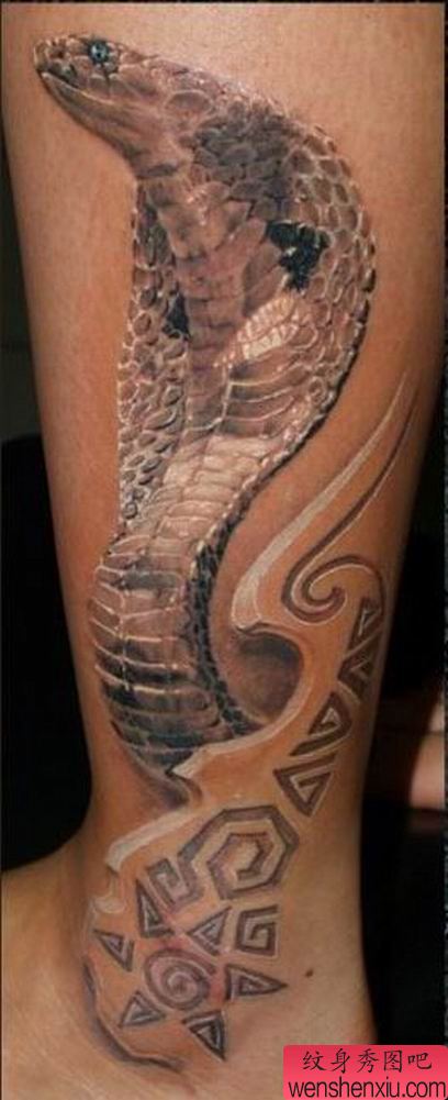 小腿眼镜蛇纹身图案