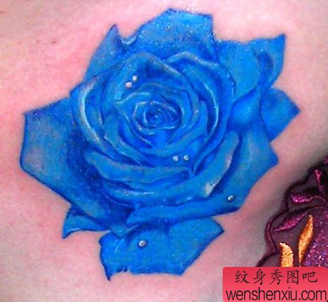 华丽玫瑰纹身图案