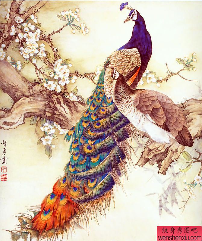 经典孔雀纹身图案