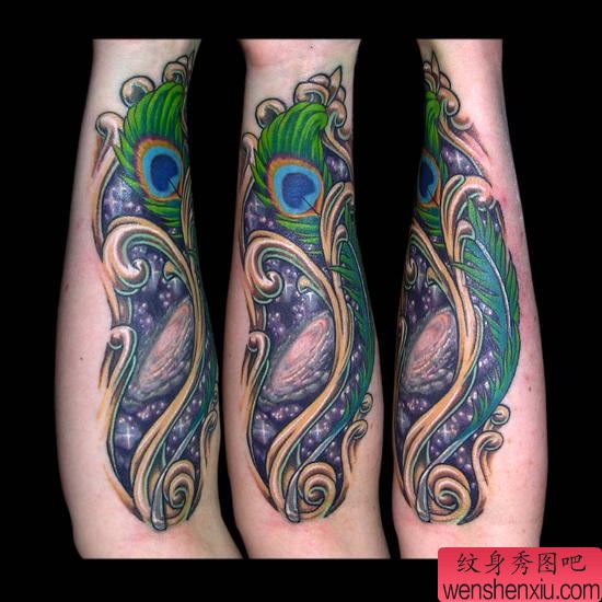 纹身520图库:手臂孔雀羽毛纹身图案