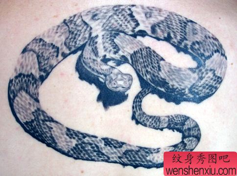 男性纹身图案—逼真写实蛇纹身图案
