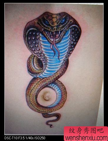 纹身图案—流行蛇纹身图案(精品)