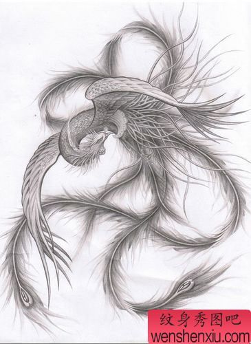 女性纹身图案之凤凰纹身图案(精品)