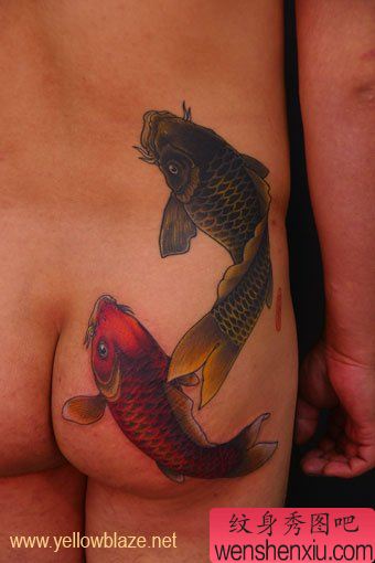 经典锦鲤鲤鱼纹身图案—黄炎作品