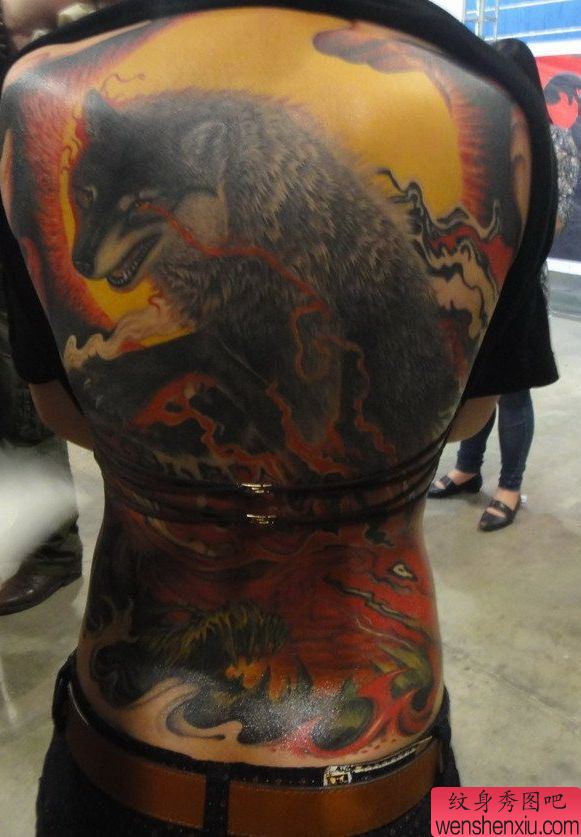 后背纹身图案:超帅气的满背彩色狼纹身图案图片(精品)