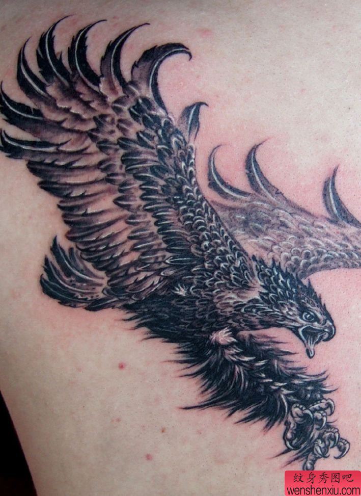 后背纹身图案:一幅超酷的后背老鹰纹身图案(经典)