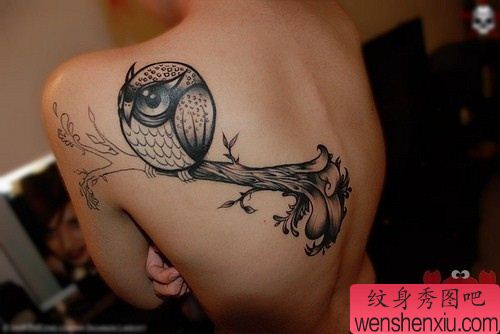 可爱的猫头鹰纹身图案