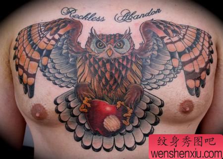 前胸彩色猫头鹰纹身图案