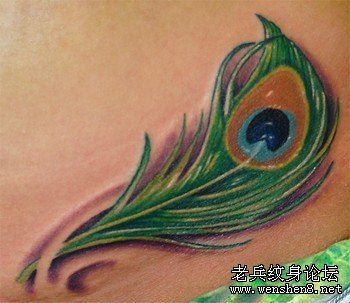 一幅羽毛纹身图案图片