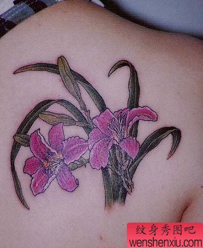 纹身520图库:后肩背百合刺青图案图片
