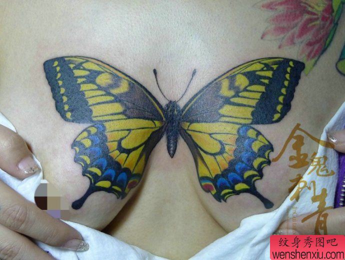 专业纹身:超有创意的一幅美女胸部蝴蝶刺青图案