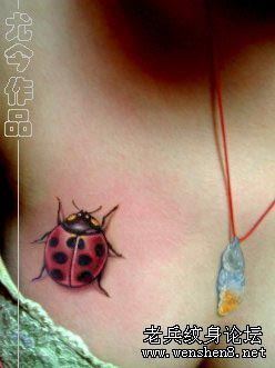 纹身520图库:MM胸部七星瓢虫刺青图案图片