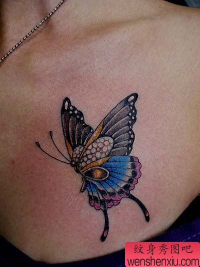 专业纹身:蝴蝶刺青图案图片