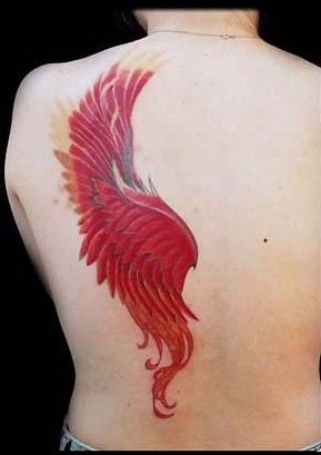 纹身520图库:后背红色翅膀纹身图案图片