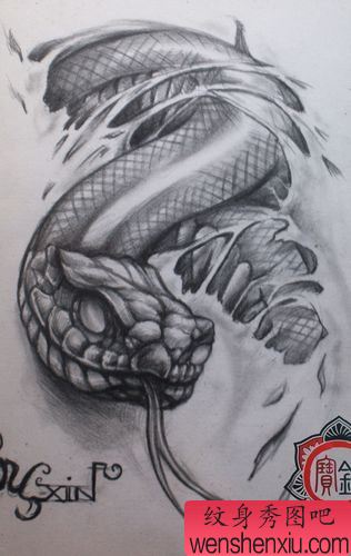 蛇纹身图案:撕皮蛇纹身图案