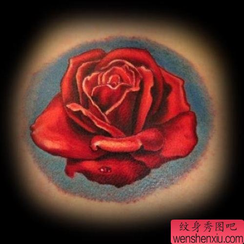 红色玫瑰花纹身图案图片