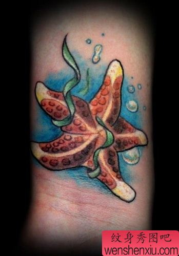 可爱纹身图案:可爱海星纹身图案图片