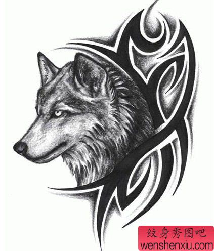动物纹身图案:狼头纹身图案纹身图片