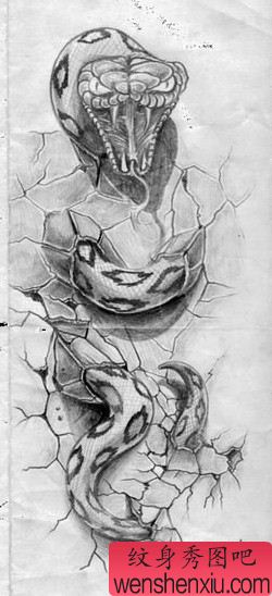 动物纹身图案:地裂蛇纹身图案