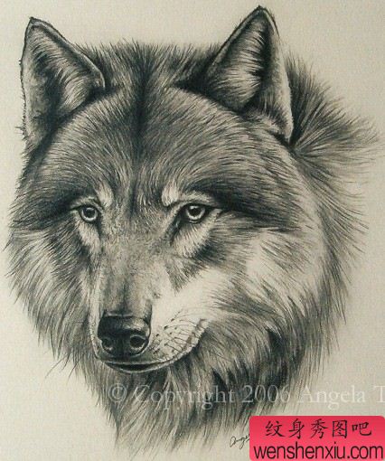 狼纹身图案:狼头纹身图案