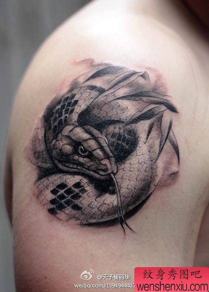 蛇纹身图案:手臂蛇纹身图案纹身图片