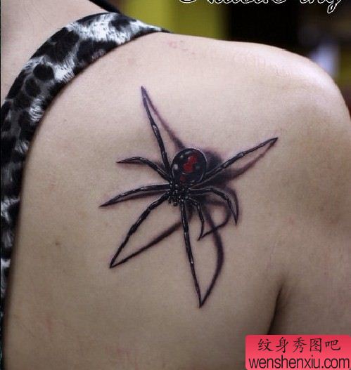 女性纹身图案:肩部彩色蜘蛛纹身图案纹身图片