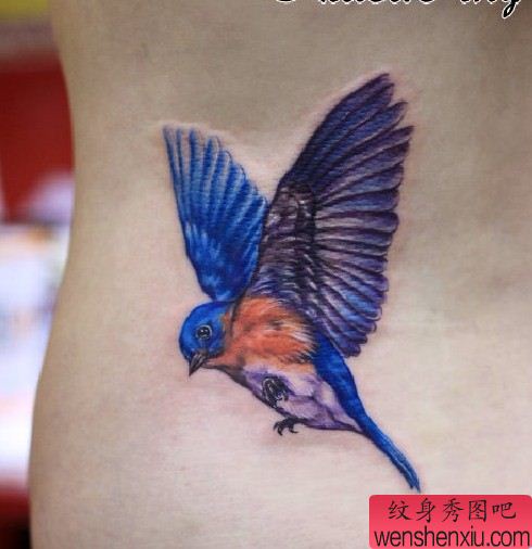 女性纹身图案:腰部彩色小鸟喜鹊纹身图案纹身图片