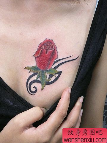 美女胸部诱人红玫瑰纹身图案