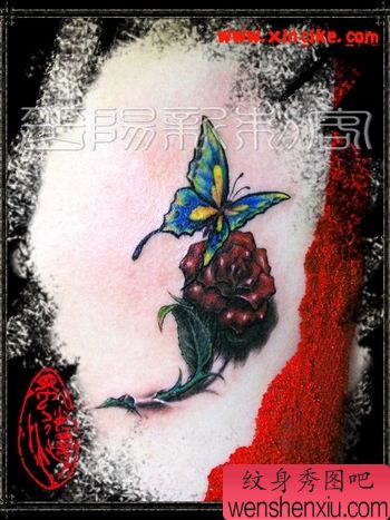 性感胸部蝶恋花纹身图片