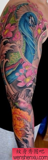 手臂彩色孔雀樱花纹身图案