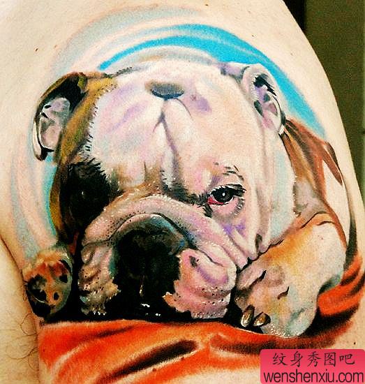 动物纹身图案：手臂3D彩色哈巴狗纹身图案
