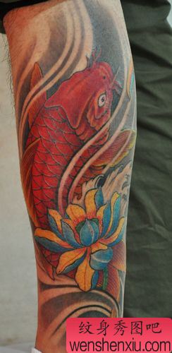 鲤鱼纹身图案:腿部彩色鲤鱼莲花纹身图案