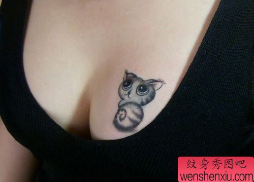 胸部纹身图案:胸部小浣熊纹身图案